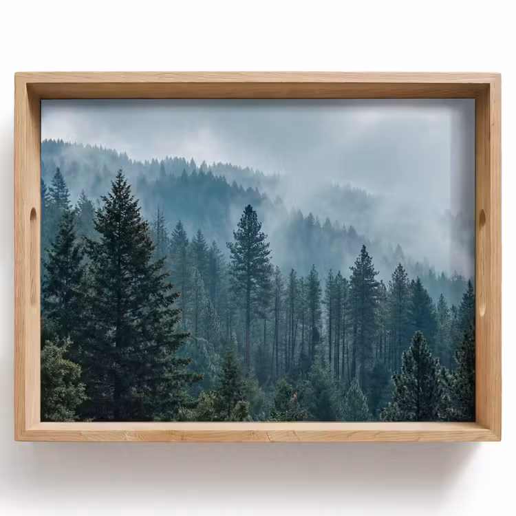 Dienblad - Naaldwoud - Bergen - Mist — 1