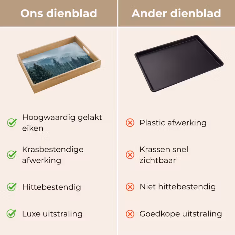 Dienblad - Naaldwoud - Bergen - Mist — 3