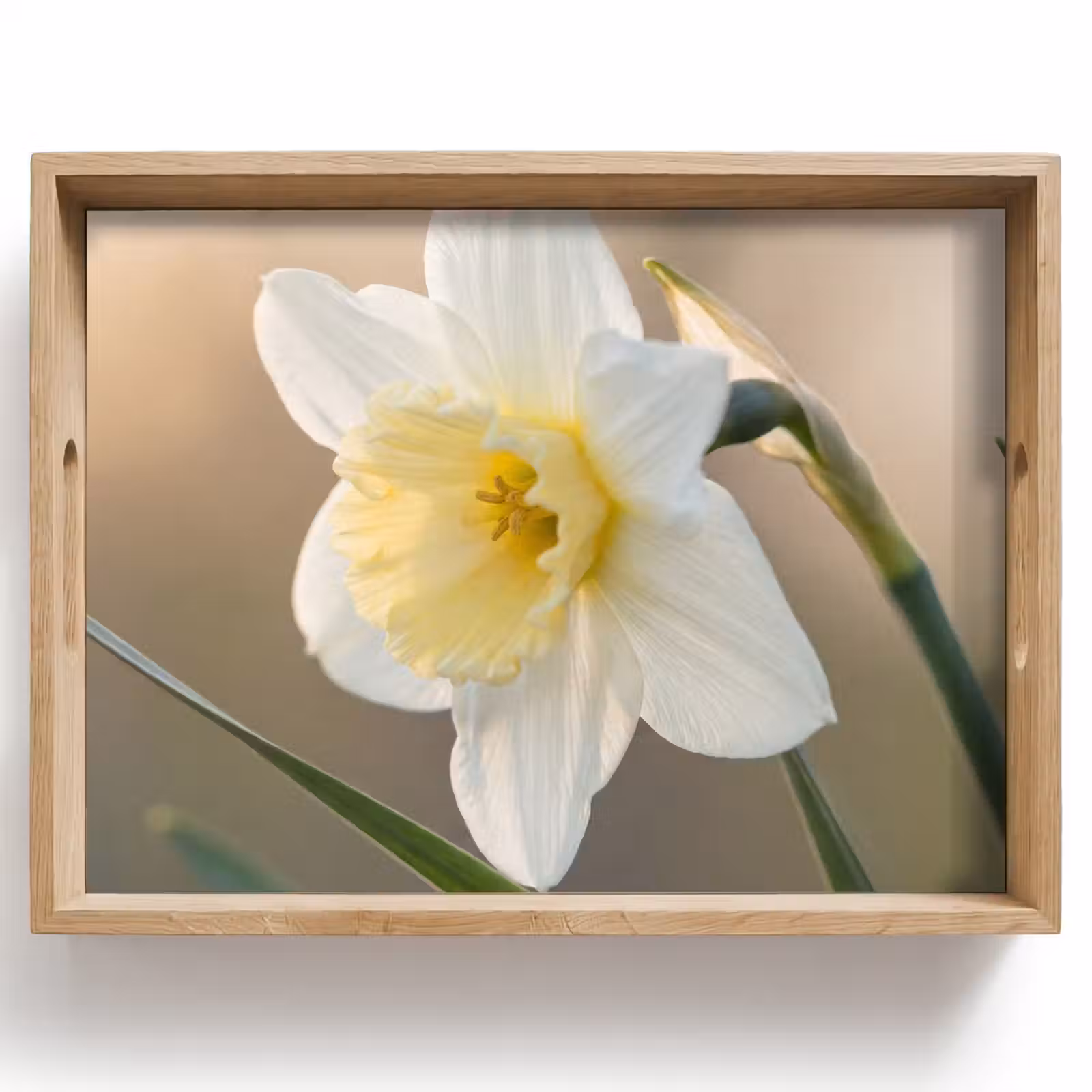 Dienblad - Narcis - Bloem - Minimalistisch — 1