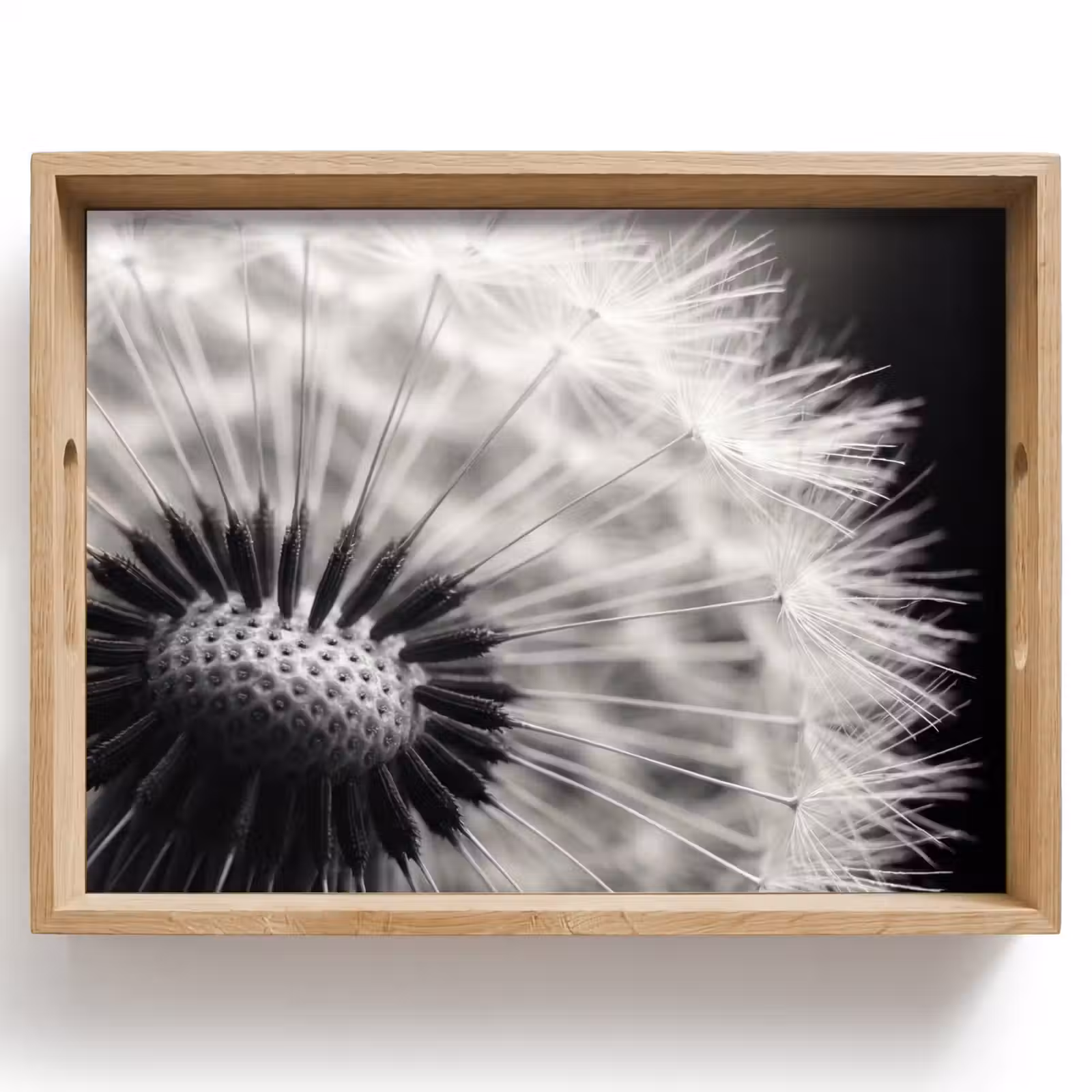 Dienblad - Paardenbloem - Zwart - Wit — 1
