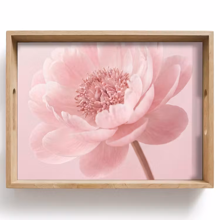 Dienblad - Bloem - Pioenroos - Roze — 1