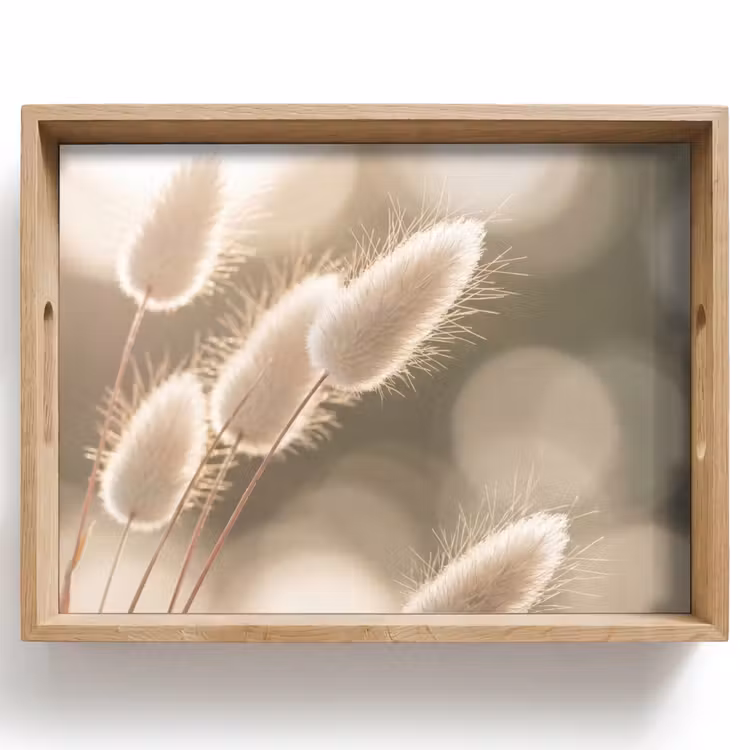Dienblad - Hazestaartgras - Wit - Zonlicht — 1