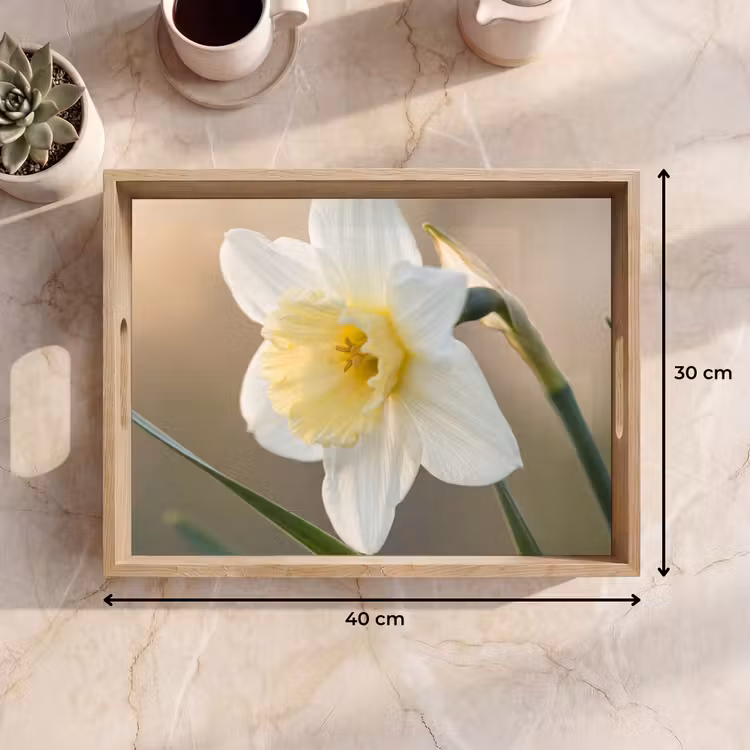 Dienblad - Narcis - Bloem - Minimalistisch — 9