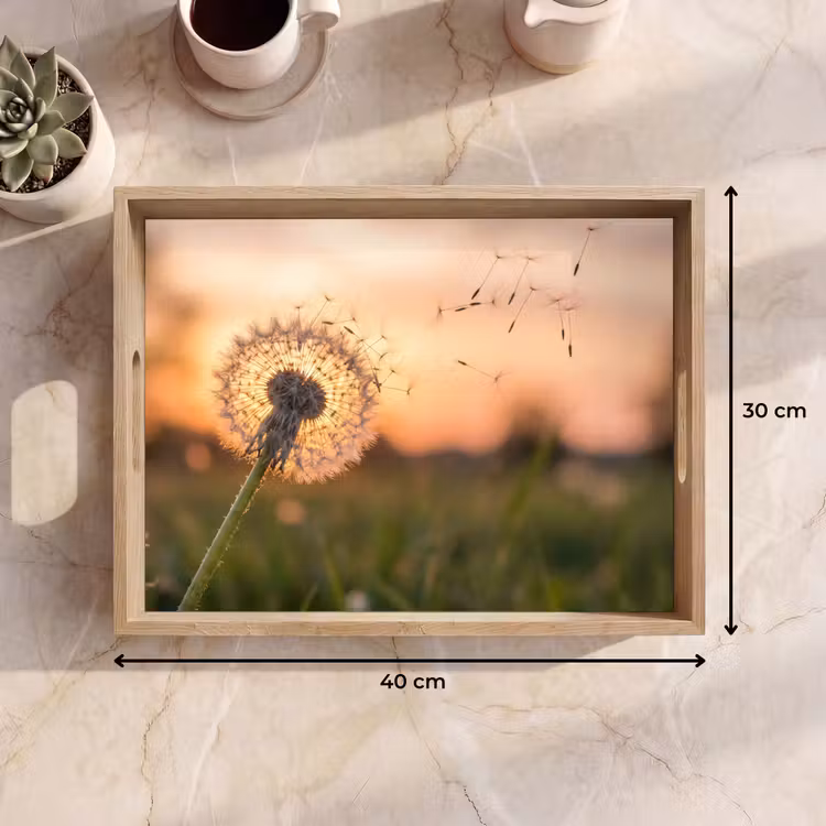 Dienblad - Paardenbloem - Zonsondergang - Veld — 9
