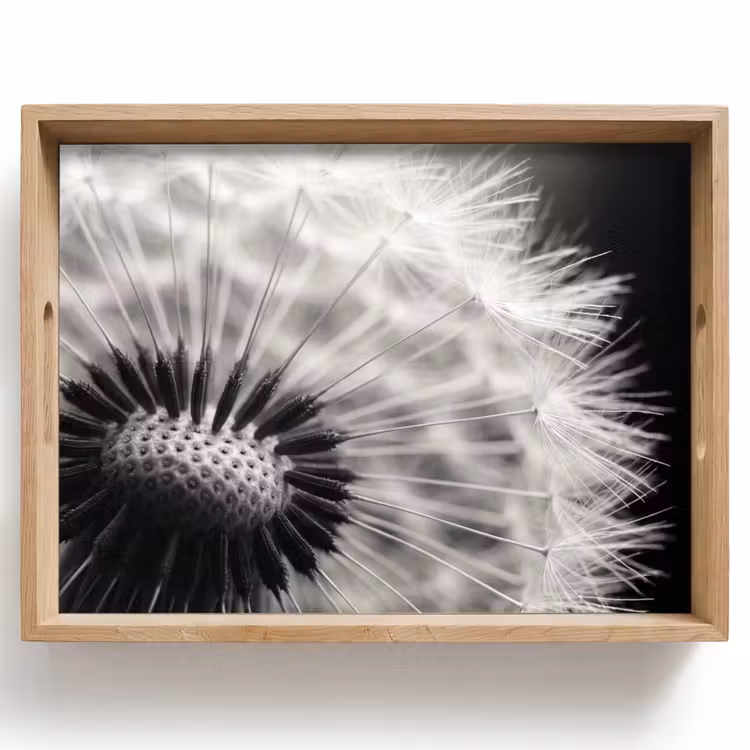 Dienblad - Paardenbloem - Zwart - Wit — 1