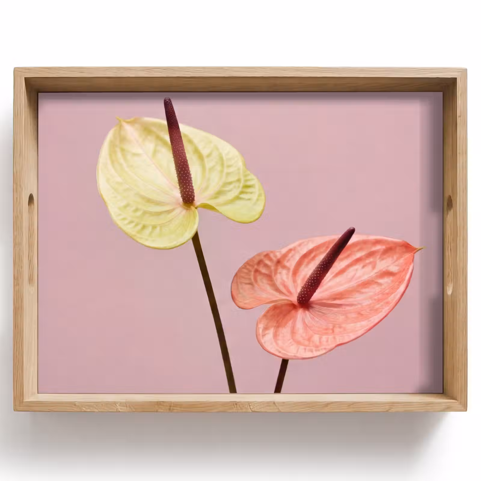 Dienblad - Bloemen - Anthuriums - Geel - Roze — 1