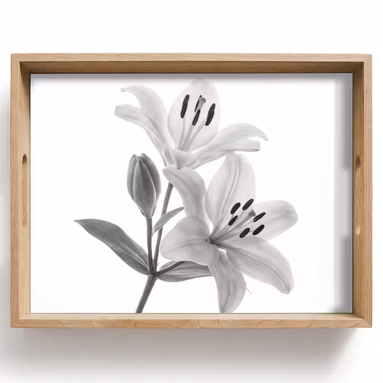 Dienblad - Lelies - Elegant - Zwart - Wit — 1