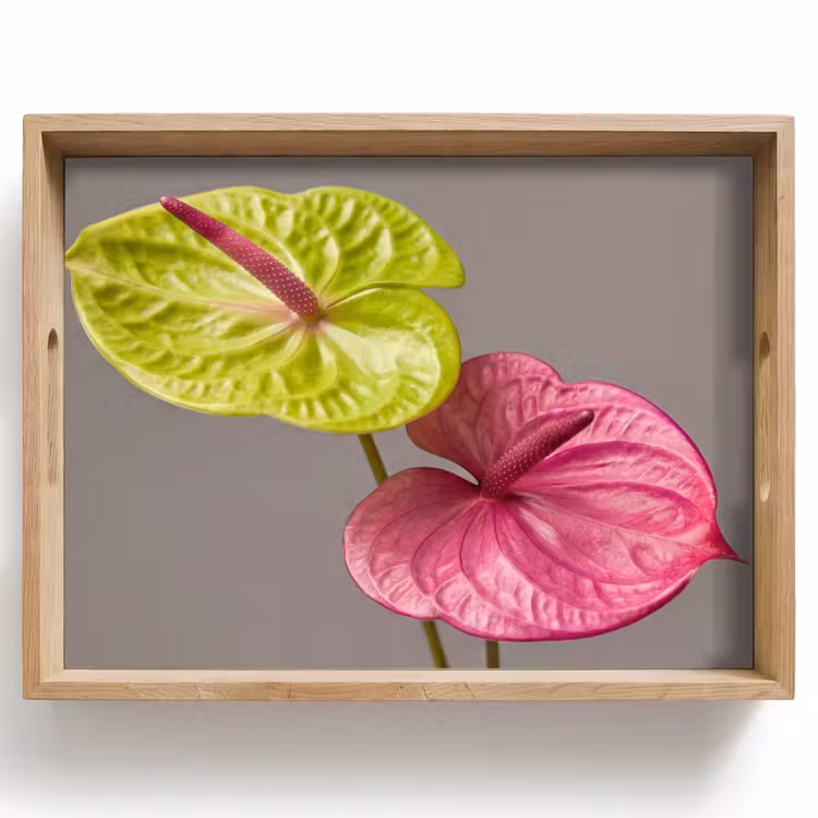 Dienblad - Planten - Anthurium - Groen - Roze — 1