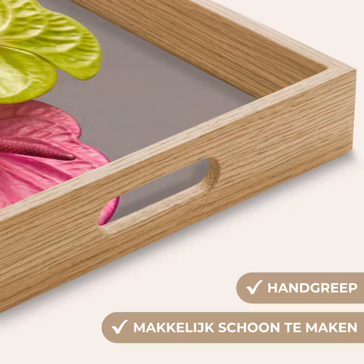 Dienblad - Planten - Anthurium - Groen - Roze — 5