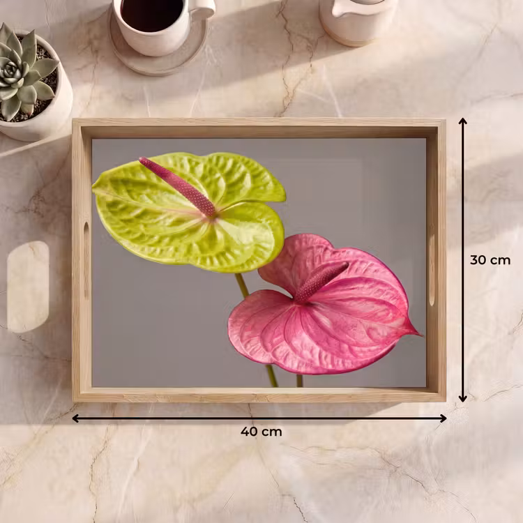 Dienblad - Planten - Anthurium - Groen - Roze — 9