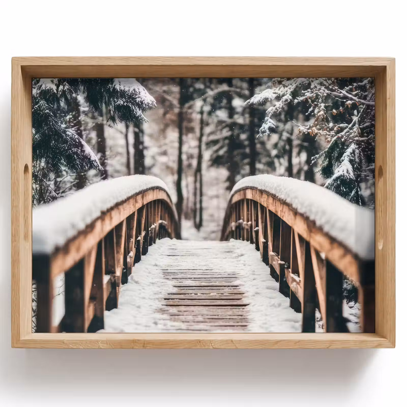 Dienblad - Brug - Winterlandschap - Bos - Natuur - Sneeuw — 1