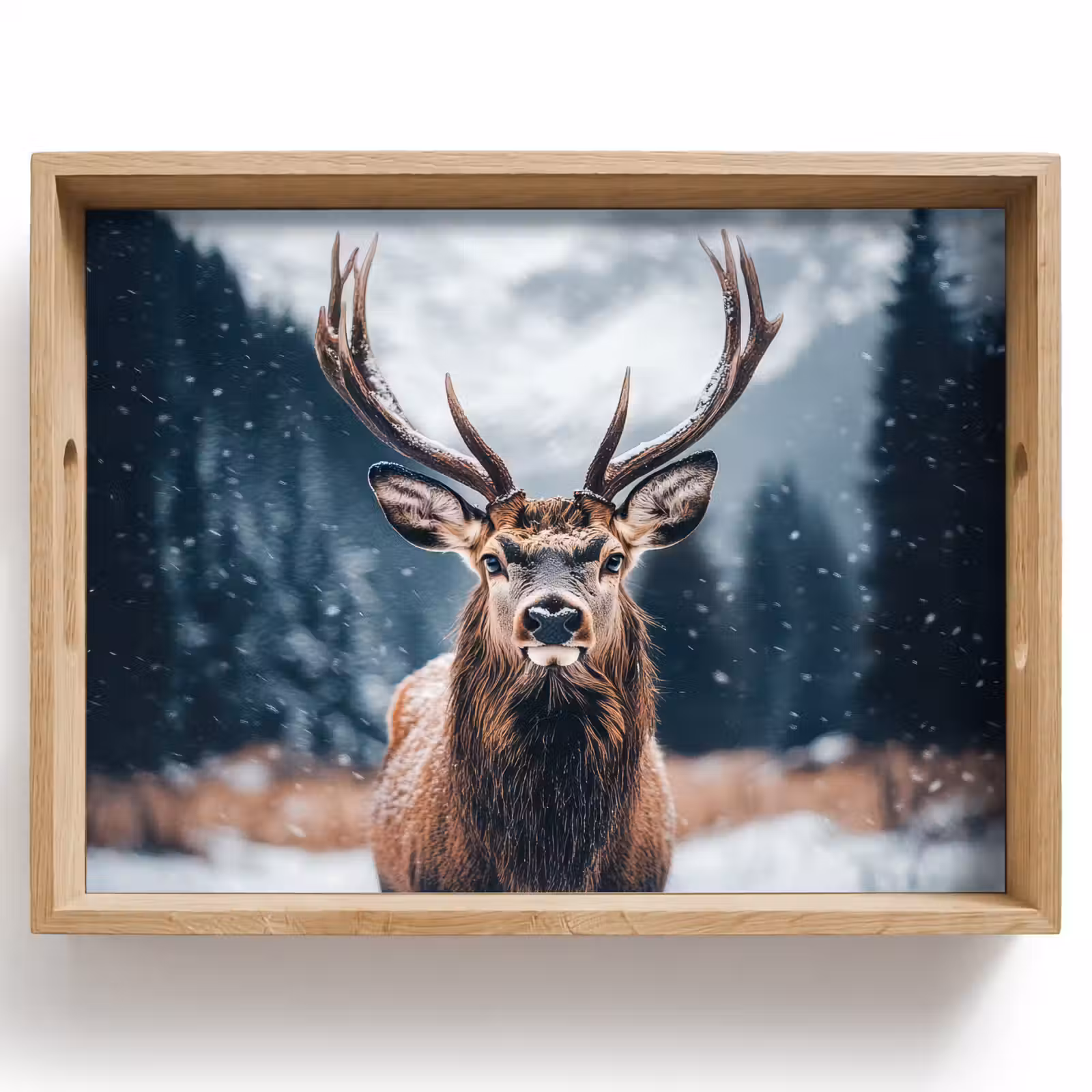 Dienblad - Hert - Dieren - Landschap - Winter - Sneeuw — 1