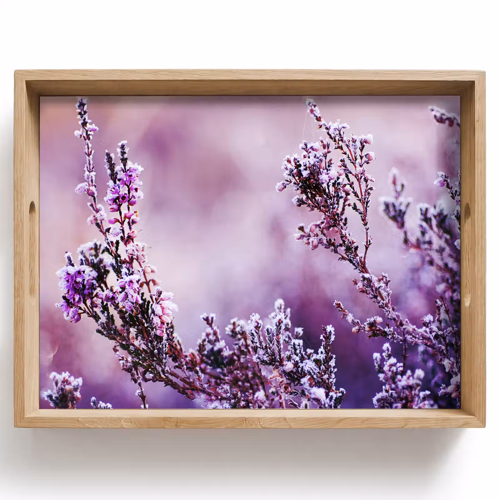 Dienblad - Lavendel - Winter - Bloemen - Paars — 1