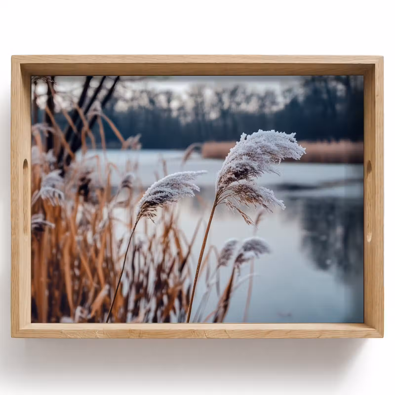 Dienblad - Riet - Gras - Natuur - Winter - Meer — 1
