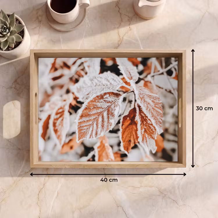Dienblad - Bladeren - IJs - Winter - Natuur — 9