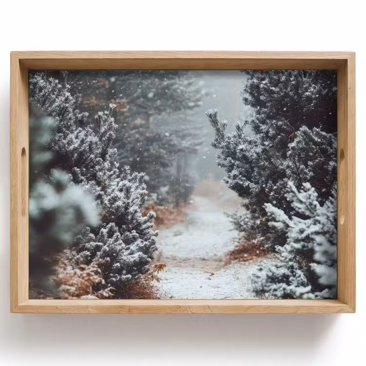 Dienblad - Bos - Winter - Bomen - Natuur - Pad - Sneeuw — 1