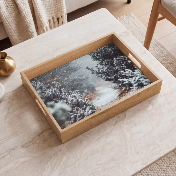 Dienblad - Bos - Winter - Bomen - Natuur - Pad - Sneeuw — 2