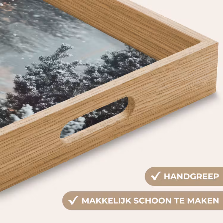Dienblad - Bos - Winter - Bomen - Natuur - Pad - Sneeuw — 5
