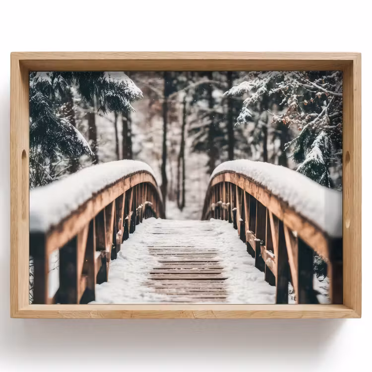 Dienblad - Brug - Winterlandschap - Bos - Natuur - Sneeuw — 1