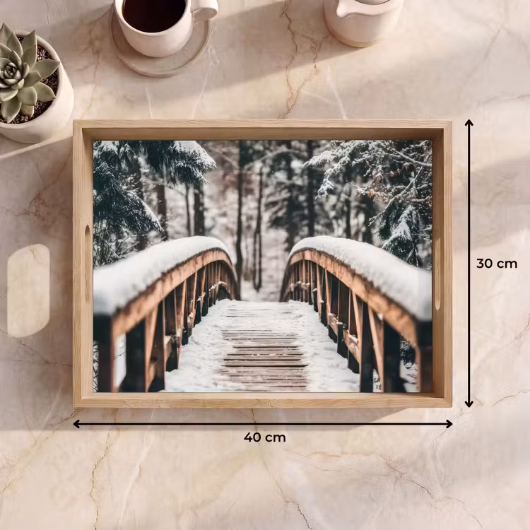 Dienblad - Brug - Winterlandschap - Bos - Natuur - Sneeuw — 9