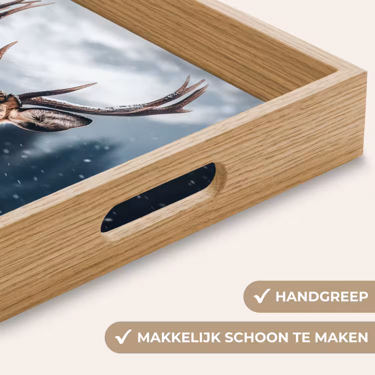 Dienblad - Hert - Dieren - Landschap - Winter - Sneeuw — 5