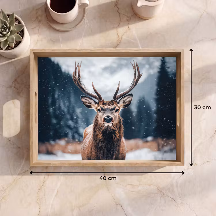 Dienblad - Hert - Dieren - Landschap - Winter - Sneeuw — 9