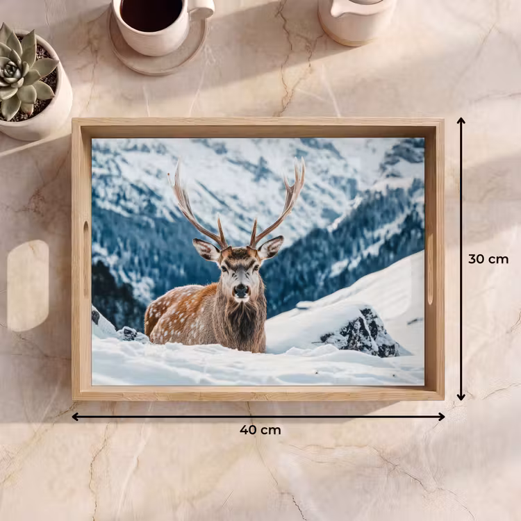 Dienblad - Hert - Landschap - Winter - Natuur - Dieren - Bergen — 9