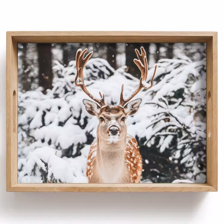 Dienblad - Hert - Sneeuw - Winter - Bos - Dieren — 1