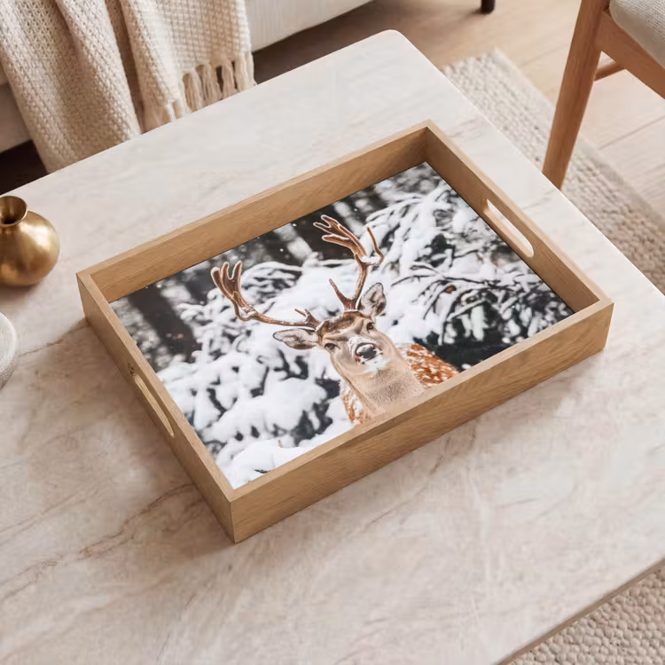 Dienblad - Hert - Sneeuw - Winter - Bos - Dieren — 2