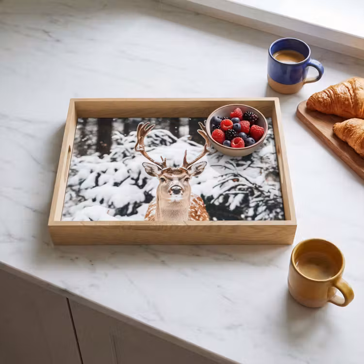 Dienblad - Hert - Sneeuw - Winter - Bos - Dieren — 4