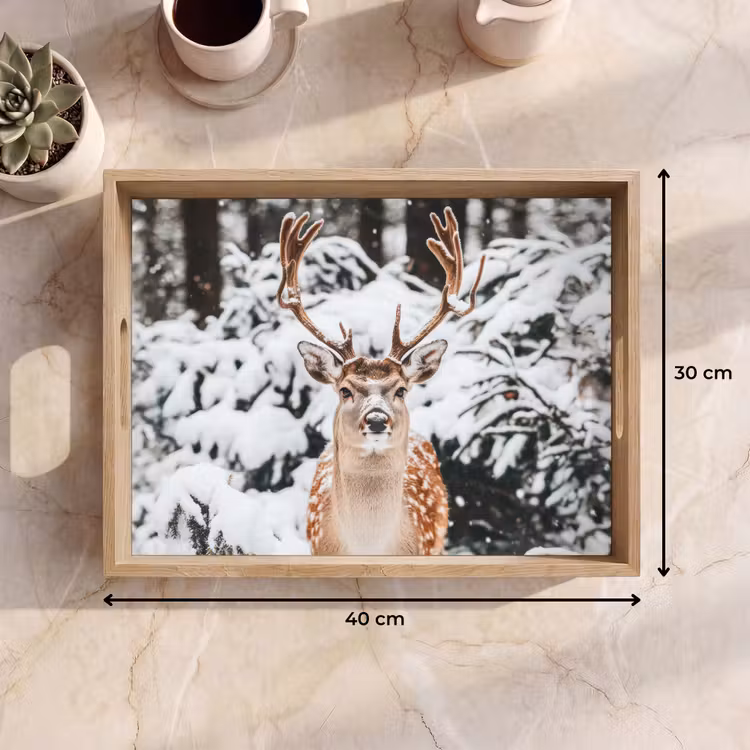 Dienblad - Hert - Sneeuw - Winter - Bos - Dieren — 9