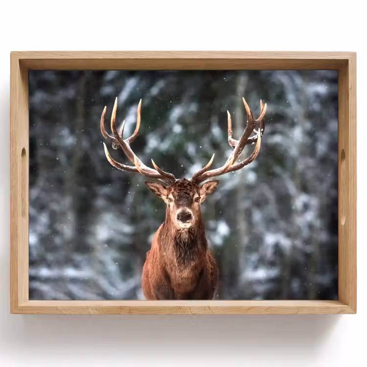 Dienblad - Hert - Winter - Sneeuw - Bos - Natuur - Dier — 1