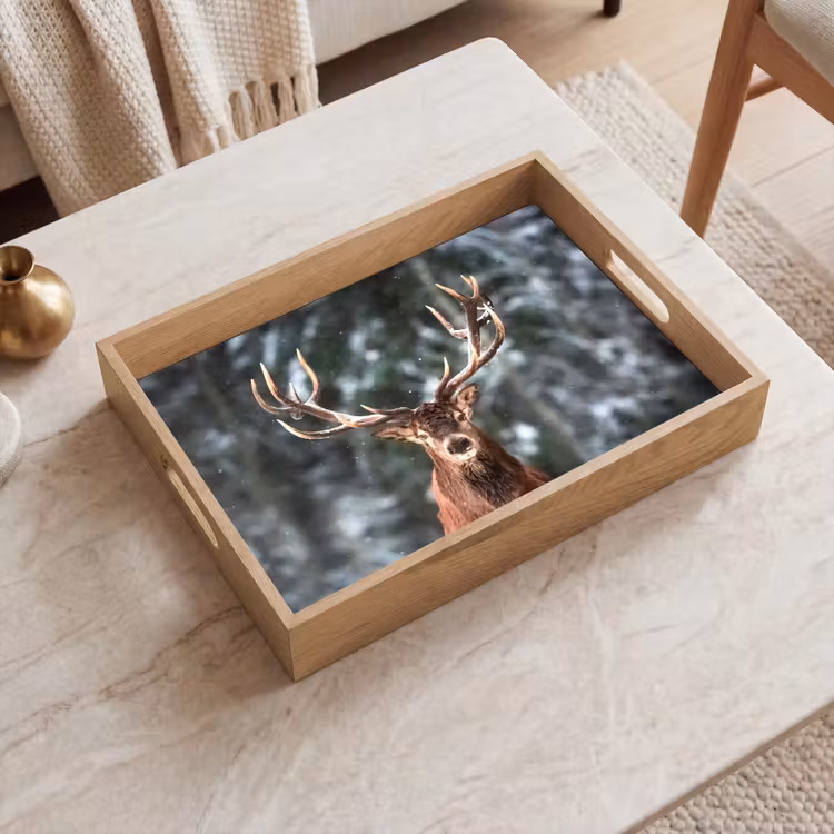 Dienblad - Hert - Winter - Sneeuw - Bos - Natuur - Dier — 2