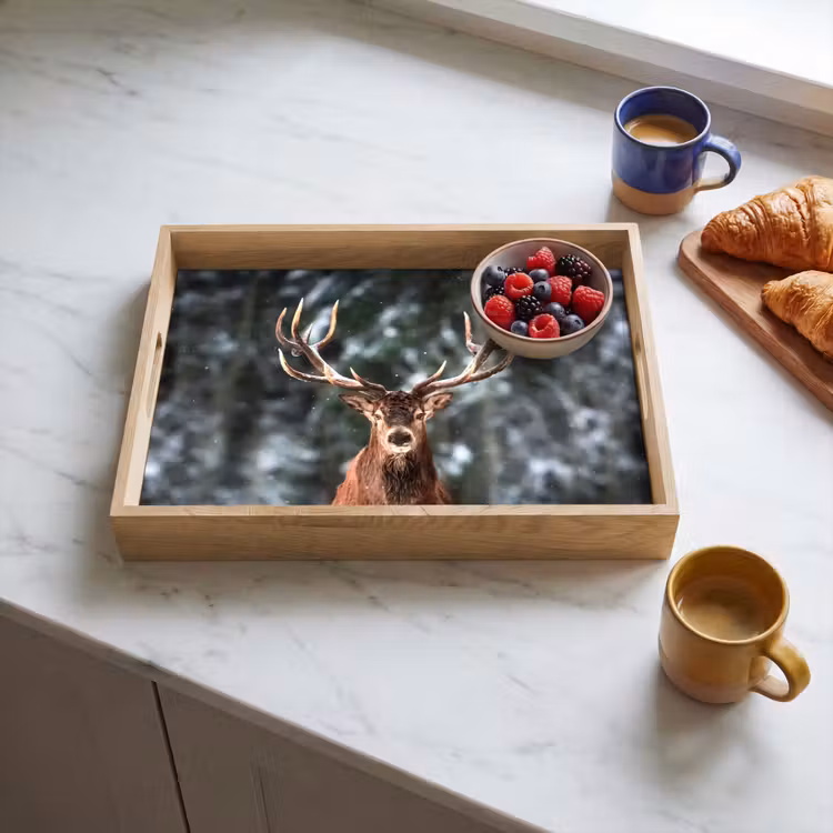 Dienblad - Hert - Winter - Sneeuw - Bos - Natuur - Dier — 4