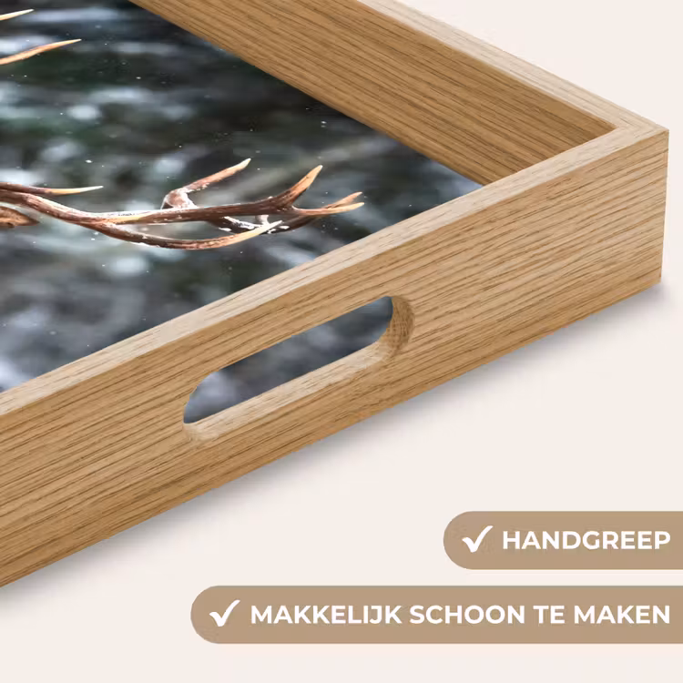 Dienblad - Hert - Winter - Sneeuw - Bos - Natuur - Dier — 5