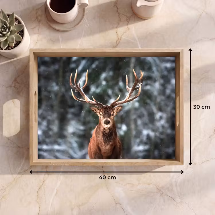 Dienblad - Hert - Winter - Sneeuw - Bos - Natuur - Dier — 9