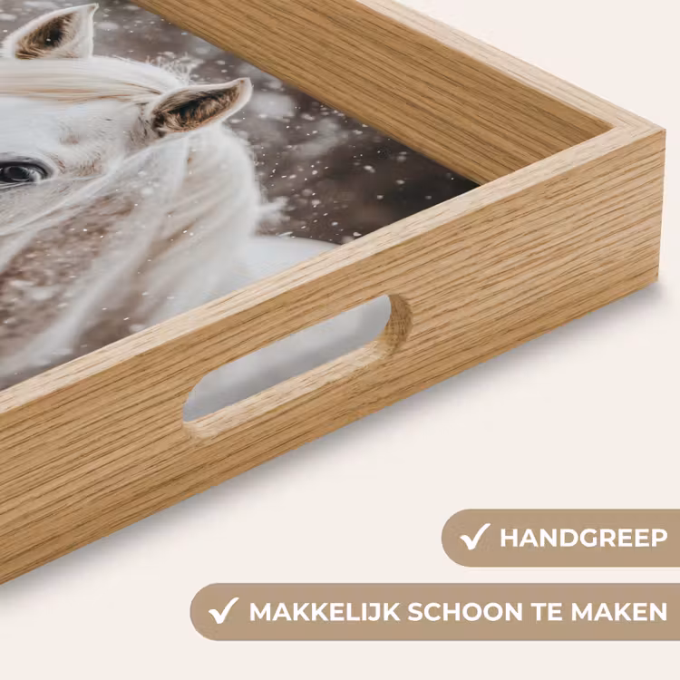 Dienblad - Paard - Wit - Winter - Natuur - Sneeuw - Dieren — 5