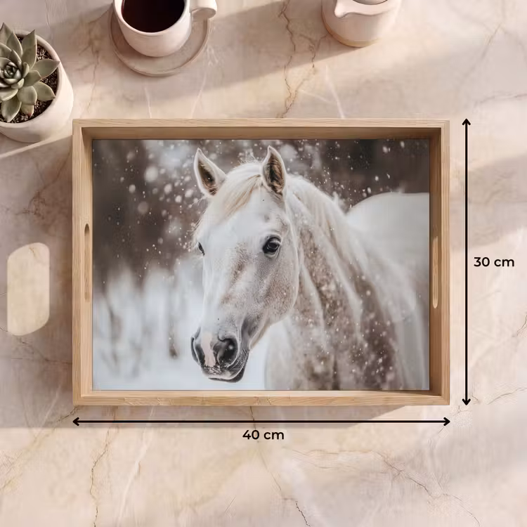 Dienblad - Paard - Wit - Winter - Natuur - Sneeuw - Dieren — 9