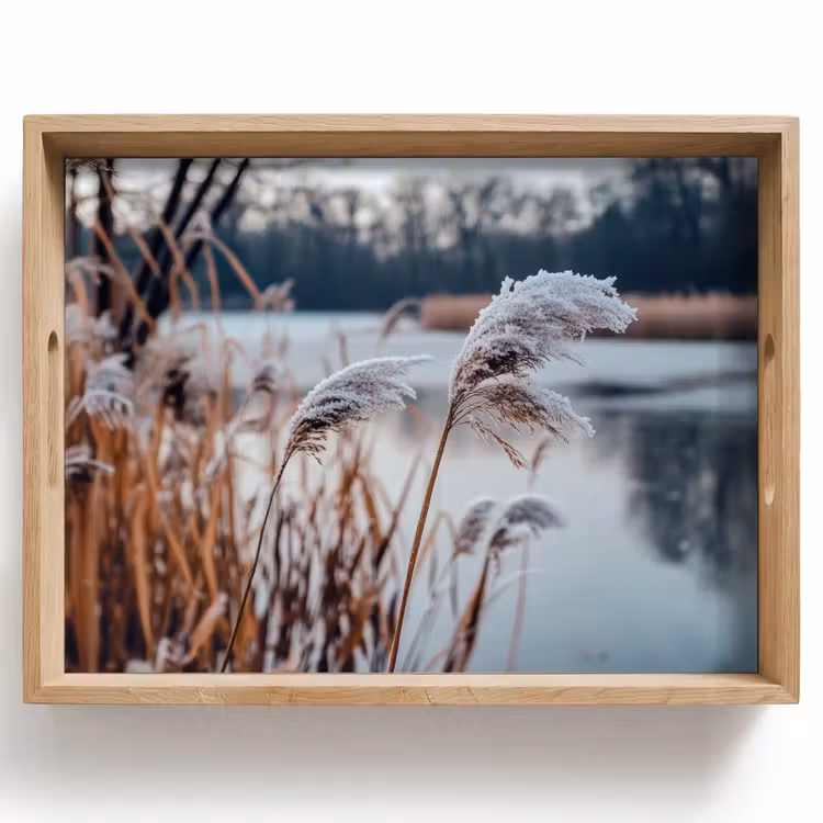 Dienblad - Riet - Gras - Natuur - Winter - Meer — 1