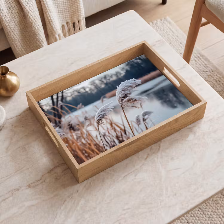 Dienblad - Riet - Gras - Natuur - Winter - Meer — 2