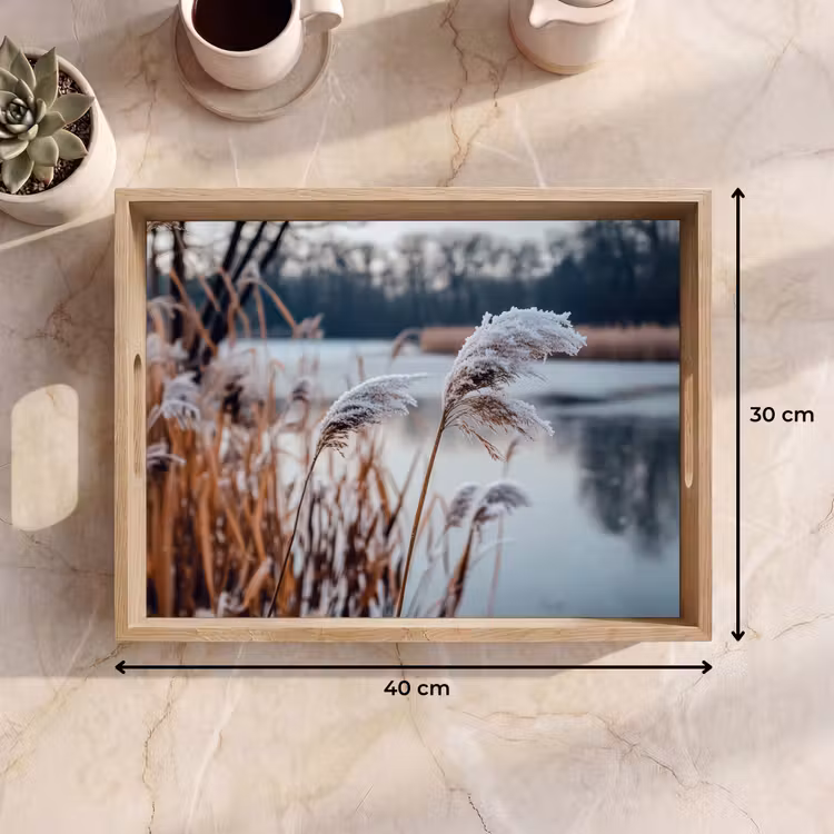 Dienblad - Riet - Gras - Natuur - Winter - Meer — 9