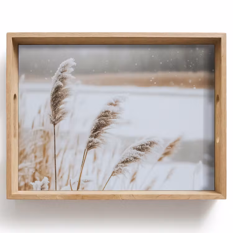 Dienblad - Riet - Meer - Winter - Natuur - Sneeuw - Beige — 1