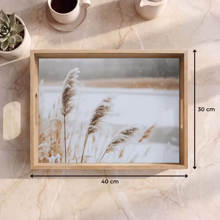 Dienblad - Riet - Meer - Winter - Natuur - Sneeuw - Beige — 9