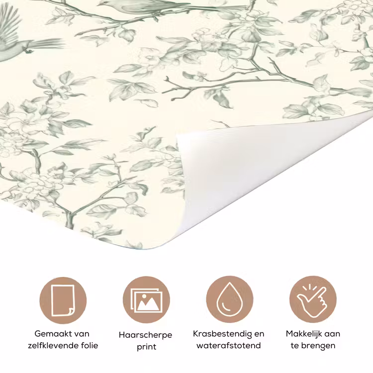Deursticker - Klassiek - Vogels - Groen — 3