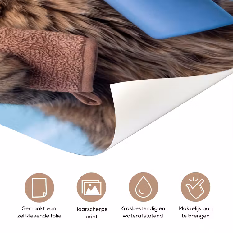 Deursticker - Kat - Handdoek - Washand - Zeep — 3