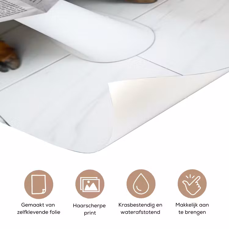 Deursticker - Schotse Hooglander - Krant - WC - Dier — 3
