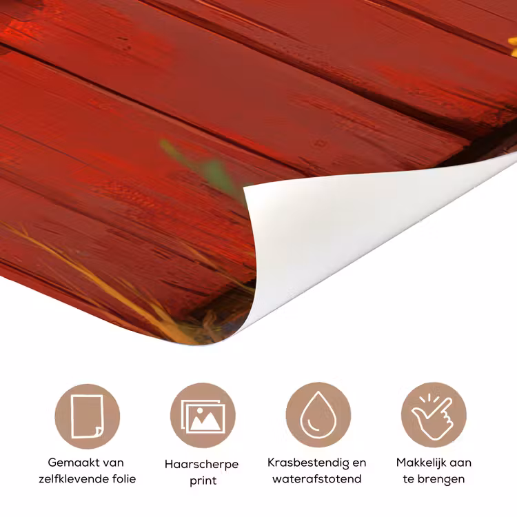 Deursticker - Stier - Rood - Boerderij - Schuurdeur — 3