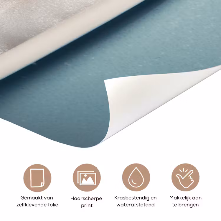 Deursticker - Teckel - Bad - Schuim - Waterdruppels — 3