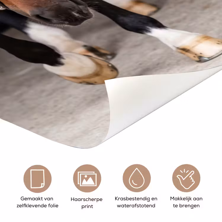 Deursticker - Paard - Modern - Portret — 3
