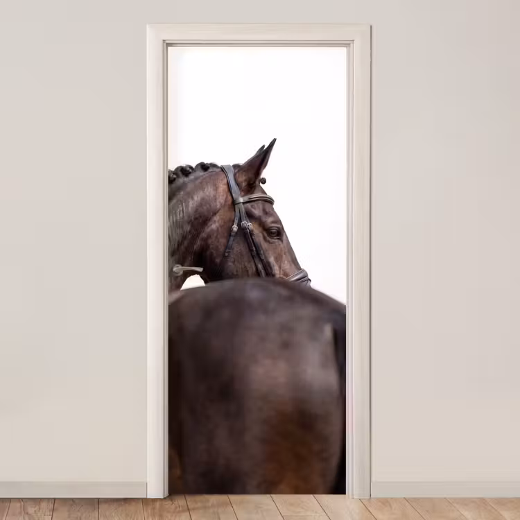 Deursticker - Portret - Paard - Elegant — 1